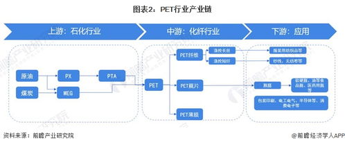 2023年中國PET行業全景圖譜 市場現狀、競爭格局與趨勢展望